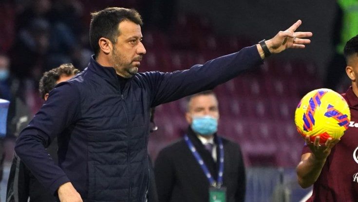 Sampdoria, D'Aversa: "Dimostrato di tenere a questa maglia"