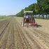 Fao, "I prezzi dei prodotti alimentari sono meno volatili rispetto agli anni passati"