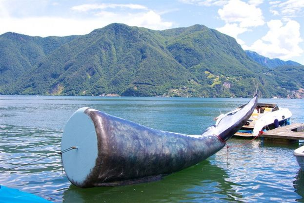 Lugano, la balena d'artista finisce alla deriva nel lago