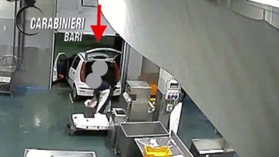 Bari, dipendenti della pescheria rubano pesce pregiato per darlo ai concorrenti: 6 arresti
