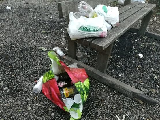Potenza, resti di un "festino" nel parco di Macchia Romana 