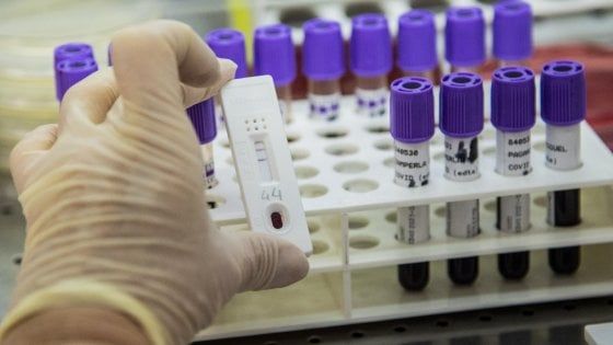 Coronavirus, all'Oms il genoma del covid di Pechino: "È di origine europea"