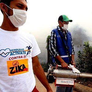 Rio 2016, virus Zika: atleti americani liberi di non andare