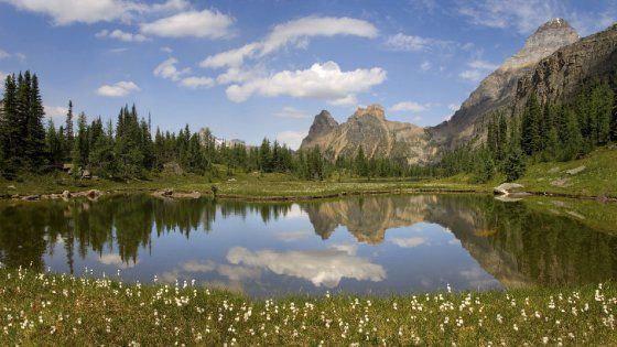 Quest’estate, il Canada è più vicino