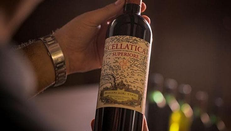 La cooperativa di piccoli vignaioli che tiene alta la bandiera di una Doc gloriosa