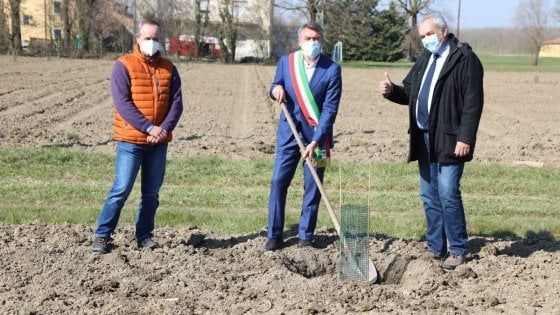 "Fiorisce" Mille Querce, il bosco diffuso lanciato da Mutti