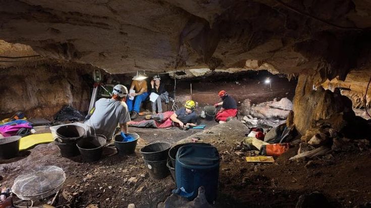Grotta Vittorio Vecchi, scoperta a Sezze una tana di iena preistorica