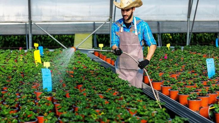 Pmi, i debiti vengono al pettine