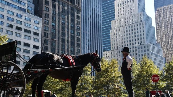New York, cavallo si imbizzarrisce a Central Park, muore un turista. Vietate le carrozze