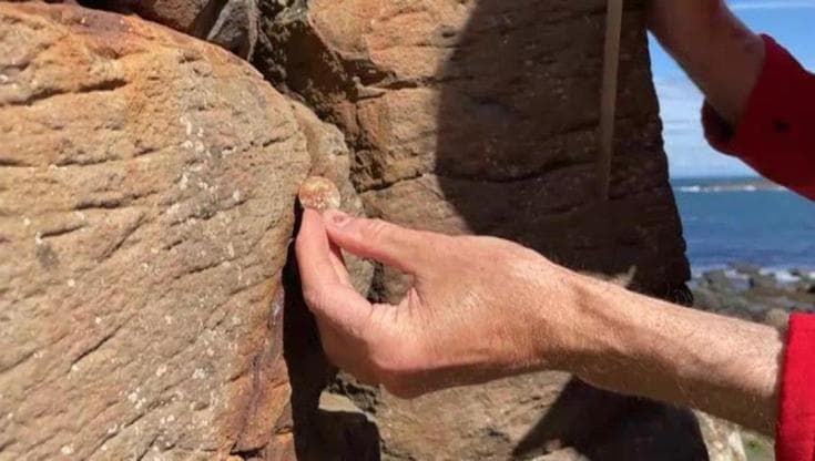 Irlanda, il Selciato del Gigante a rischio: rimosse 10mila monete dalle rocce