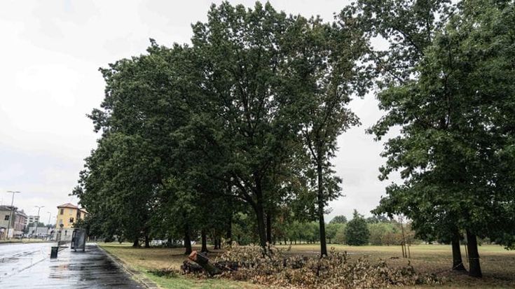 Maltempo a Milano, pioggia e crollo delle temperature: a mezzogiorno 19 gradi e la città respira