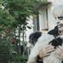 Toni Erdmann quel padre burlone che va agli Oscar