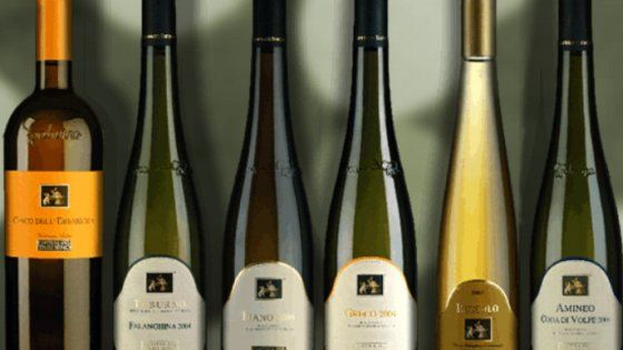 I signori del vino: Falanghina 2015 del Taburno gran bianco di primavera 