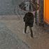 Temporali al Centro Nord, allerta meteo in Piemonte, Liguria e Toscana