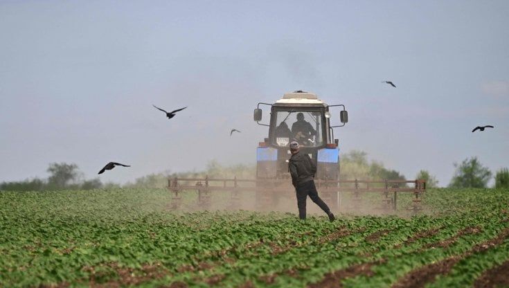 La Fao: “Nel 2023 rischiamo carestie”. Un piano con l’Italia per il cibo in Africa