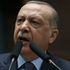 Siria, Erdogan sfida gli Usa: 