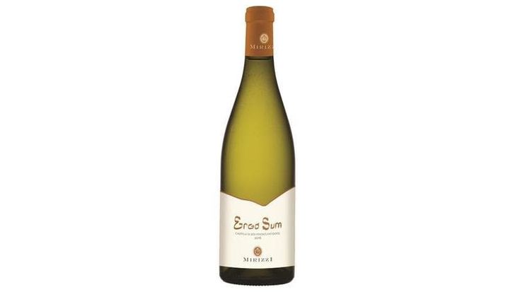 Verdicchio&co, la magia dei vitigni autoctoni dei Castelli di Jesi