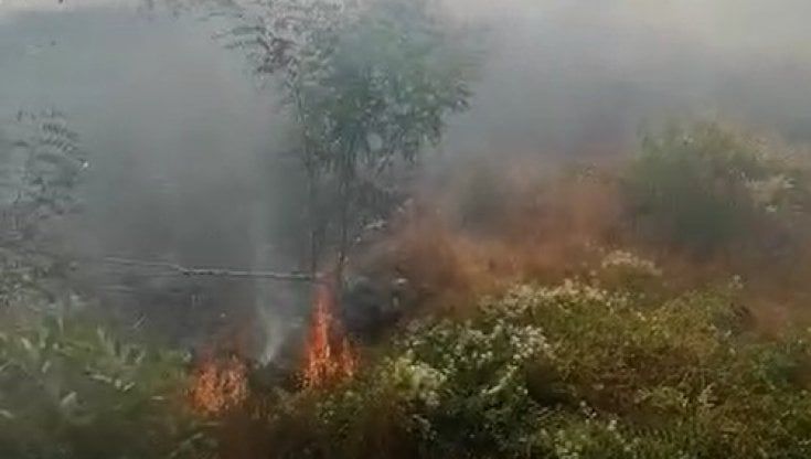 Incendio a Baia Verde, i vigili del fuoco: "Abbiamo solo 6 squadre"