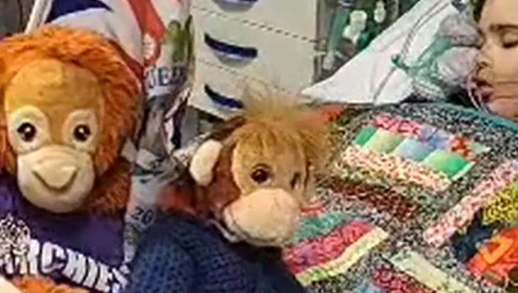 Regno Unito, è morto il 12enne Archie Battersbee. Il dramma della famiglia e la battaglia contro i giudici: "Ha lottato fino alla fine"