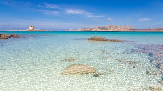 Le vacanze in Sardegna si sognano già da oggi