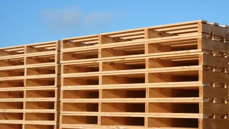 Con Palm il pallet è amico dell’ambiente