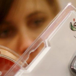 Cresce in Italia l'utilizzo del cloud. La Bsa: "Siete ottavi nel mondo"