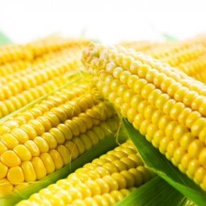 Il gigante Syngenta perde contro gli agricoltori del Missouri: maxi multa da 217 milioni di euro
