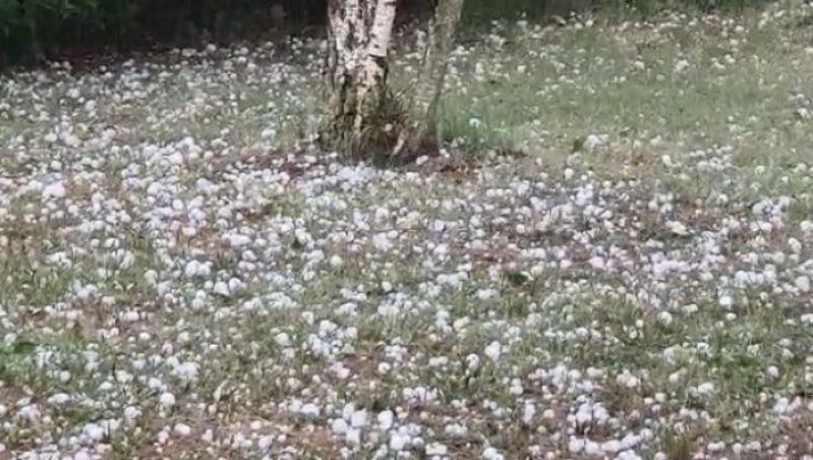 Maltempo nel Casertano, danni a colture e strutture