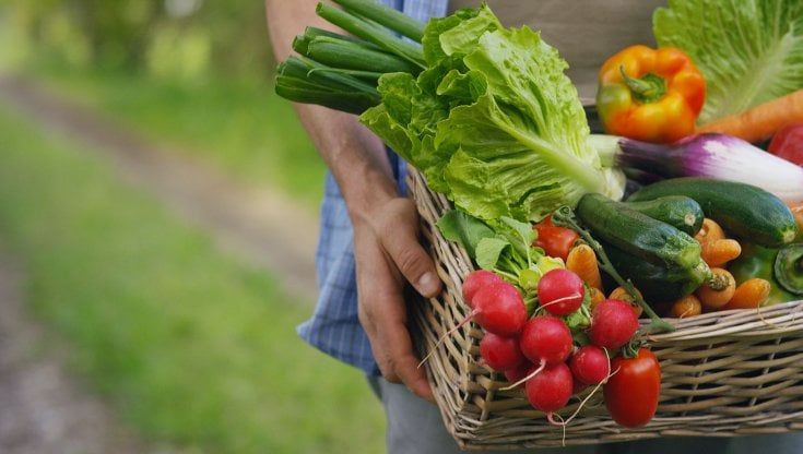 Meno würstel e crauti, più snack e cucina esotica: così cambia la Germania a tavola