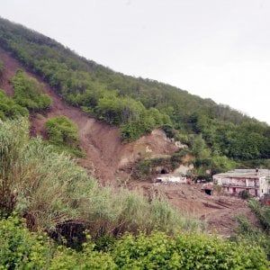 Battaglia all'abusivismo. La virtù si fa lobby, cento sindaci unitI, Ileana Schipani: "Rispetto delle regole e del territorio" 