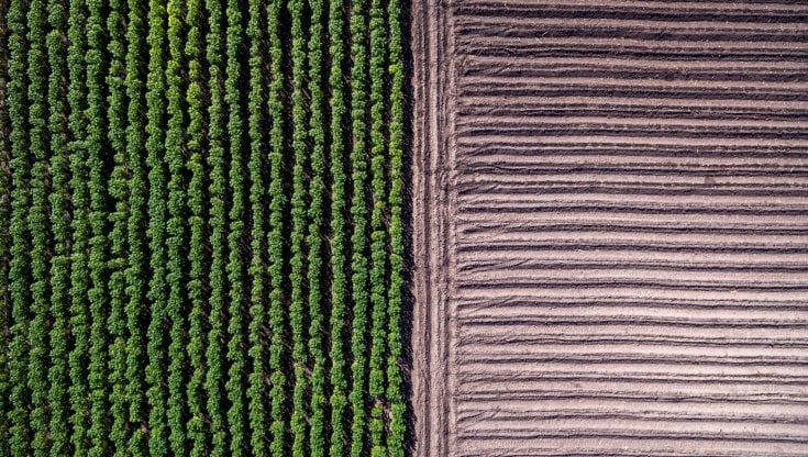 Bioetanolo, Assodistil: 46 mila nuovi posti di lavoro tra industria e filiera agricola in Italia