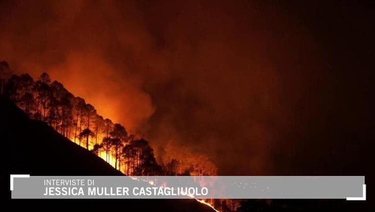 Clima e ambiente: un nuovo lessico contro la crisi ecologica