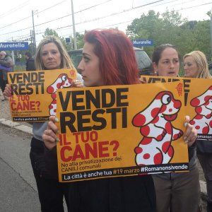 Roma, nuova protesta al canile della Muratella contro licenziamenti. De Milato: "Nessun passo indietro"