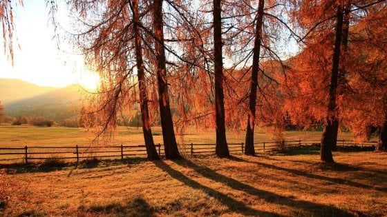 Undici weekend tutti verdi, per grandi e bambini