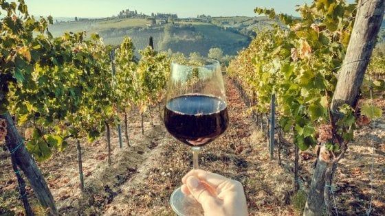 Il Grande Viaggio Insieme a Prato alla scoperta della filiera del vino