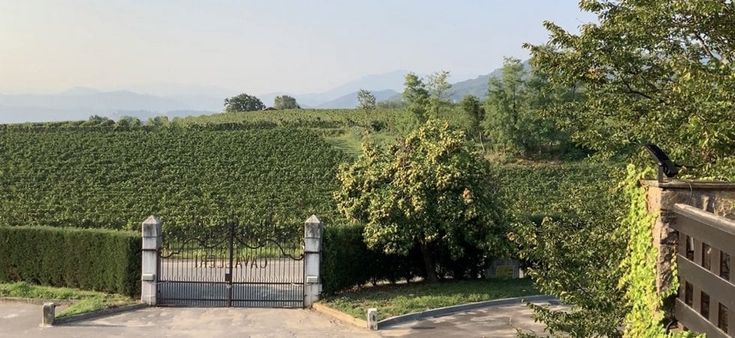 Francesco Franzini raccoglie in Franciacorta la passione del nonno Giovanni