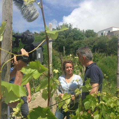 I segreti di Ischia in un documentario: dalla Germania una troupe di ARD TV