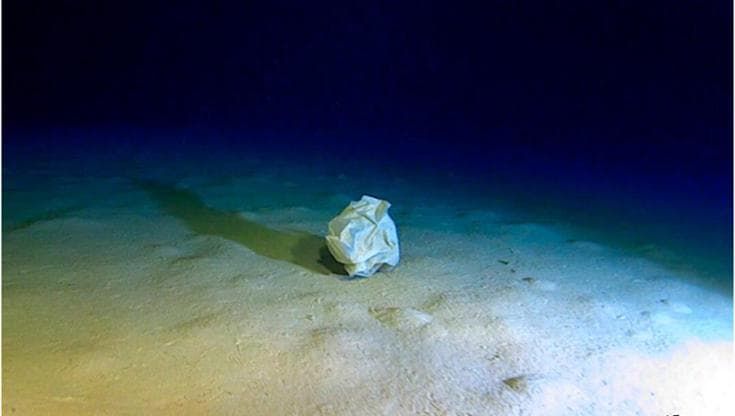 Così le piogge intense aumentano l'inquinamento da microplastiche