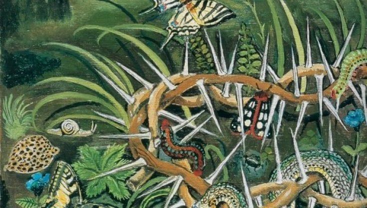 Semplice e prodigiosa la natura di De Vita