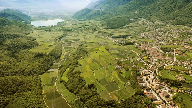 Kunst.stück, opere d’arte della natura nella cantina Kaltern