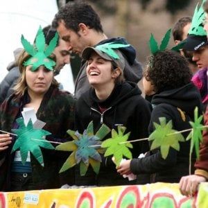 Legalizzazione cannabis, così può indebolire mafie e terrorismo
