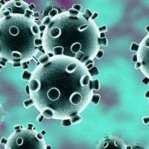 Così piccoli, così temuti. Guida ai segreti (e ai misteri) dell’universo virus