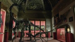 'Dinosaurs', dalla ricerca dei fossili al museo - trailer