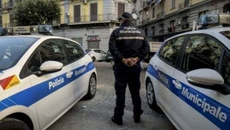 Ruba la palina segnaletica della fermata dei bus, denunciato