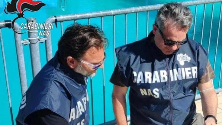 Bologna, Nas in agriturismo: scarafaggi e conserve a rischio botulino
