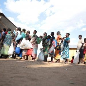 Dal Kenya fino in Colombia, laureati per le Nazioni Unite 