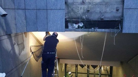 Metrò Re Umberto, salvo dopo due giorni il gatto rimasto intrappolato