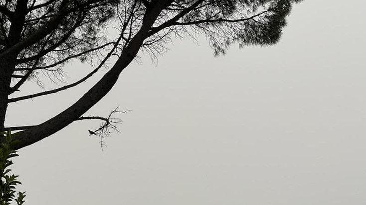 Polveri dal deserto colorano di giallo il cielo della Toscana: caldo fino al weekend