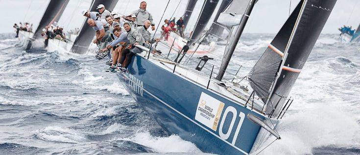 Quantum è il Re Azzurra la Regina