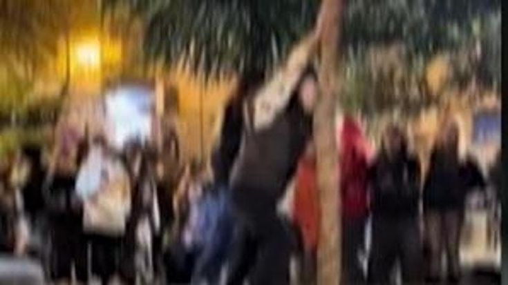 Alberi, nemico da abbattere dei ragazzini annoiati: cedro spezzato nella piazzetta dell’Orientale